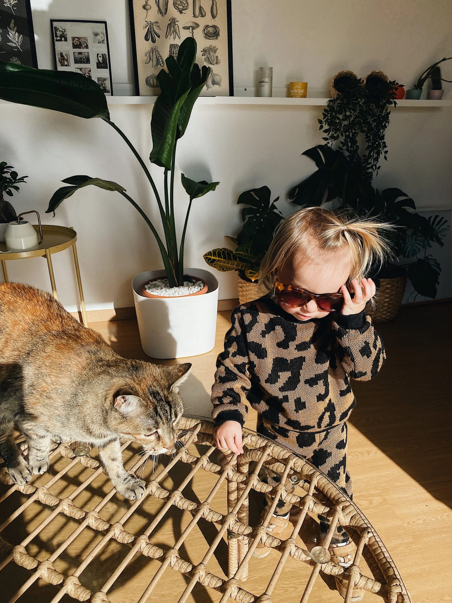 SHOKO Kids Knit Sweater Leo Knitwear 3 SHOKO Kids Knit Sweater Leo Knitwear